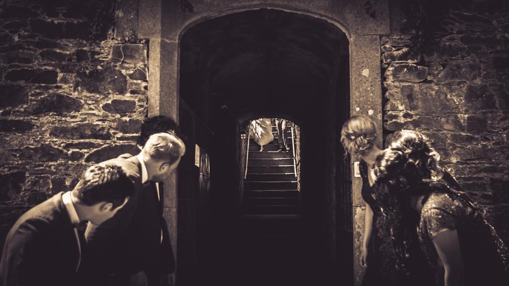 Wilton Castle Daire Enniscorthy Dış mekan fotoğraf